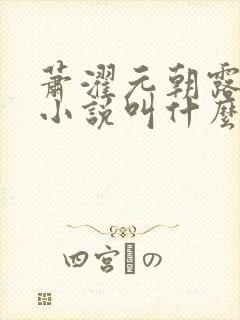 萧濯元朝露原著小说叫什么