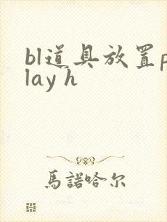 bl道具放置play h