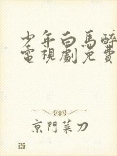 少年白马醉春风电视剧免费看全集