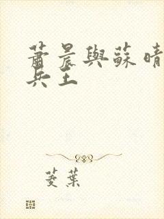 萧晨与苏晴全能兵王