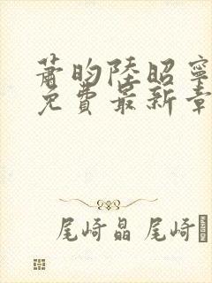 萧昀陆昭宁全文免费最新章节阅读