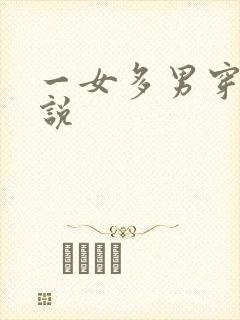一女多男穿越小说封面
