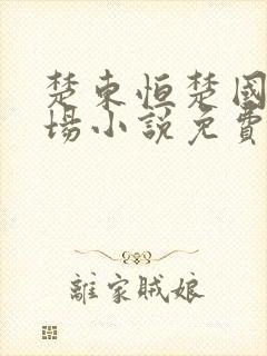 楚东恒楚国威官场小说免费阅读