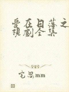 爱在日落之前电视剧全集