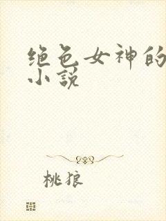 绝色女神的堕落小说