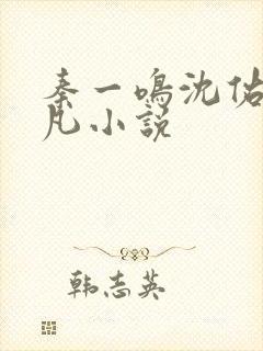 秦一鸣沈佑楚林凡小说