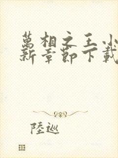 万相之王小说最新章节下载封面