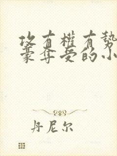 攻有权有势强取豪夺受的小说