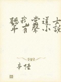 听我当道士那些年有声小说封面