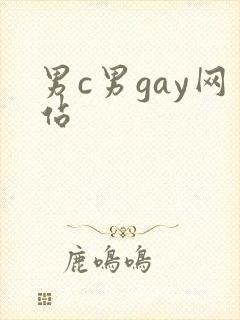 男c男gay网站