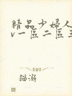 精品少妇人妻av一区二区三区四区封面