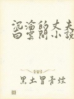 沉沦的丈夫远上白云间小说最新章节