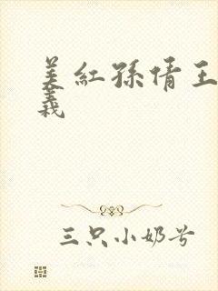 美红孙倩王申高义