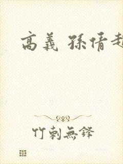 高义 孙倩赵敏封面