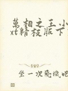 万相之王小说txt精校版下载