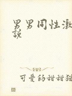 男男同性激情小说