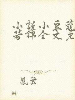 小说小豆蔻韶华若锦全文免费阅读