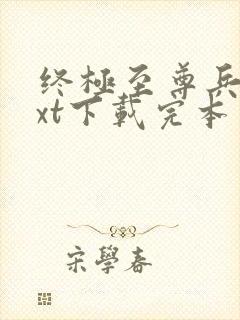 终极至尊兵王txt下载完本