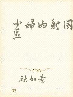 少妇内射国产二区