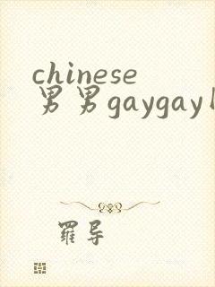 chinese男男gaygay网