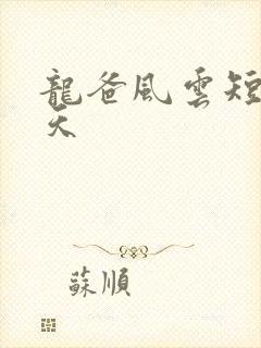 龙爸风云短剧林天