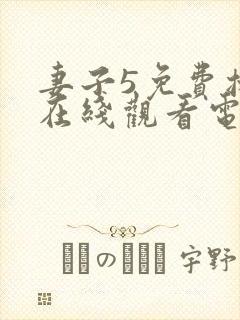 妻子5免费播放在线观看电视剧韩剧封面