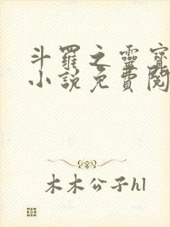 斗罗之灵宝斗罗小说免费阅读封面