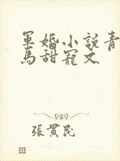 军婚小说青梅竹马甜宠文