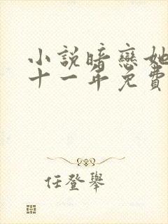 小说暗恋她的第十一年免费封面