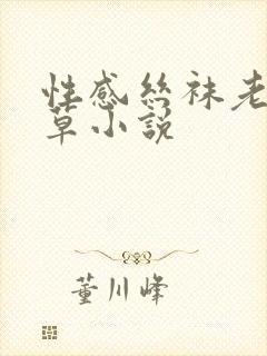 性感丝袜老师被草小说封面