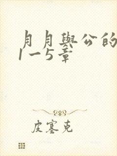 月月与公的激情1一5章