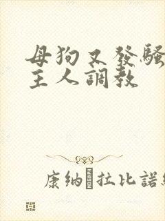 母狗又发骚了求主人调教封面