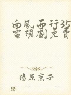 向风而行35集电视剧免费观看封面