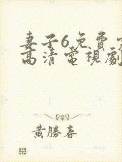 妻子6免费完整高清电视剧在线看