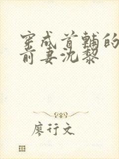 穿成首辅的炮灰前妻沈黎