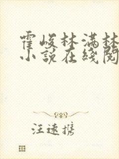 霍峻林满林舒乔小说在线阅读封面