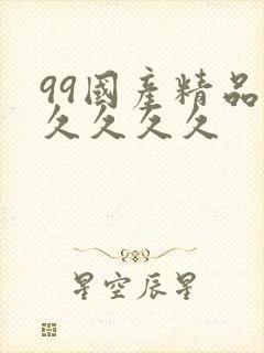 99国产精品久久久久久封面