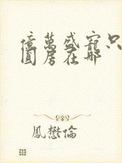 亿万盛宠只为你圆房在哪封面