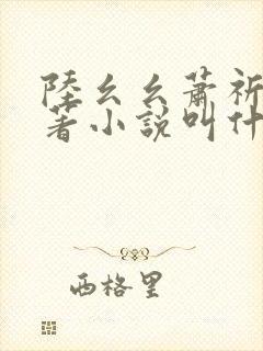 陆幺幺萧祈之原著小说叫什么