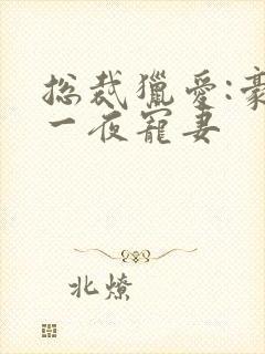 总裁猎爱:豪门一夜宠妻