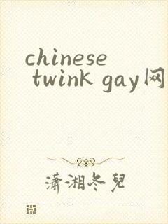 chinese twink gay网站