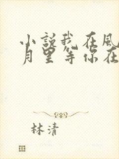 小说我在风花雪月里等你在线阅读