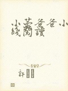 小蕾爸爸小说在线阅读