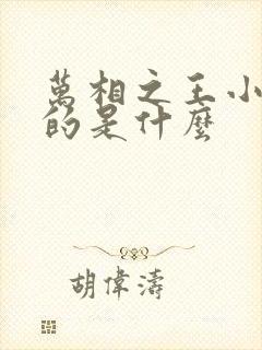 万相之王小说讲的是什么封面