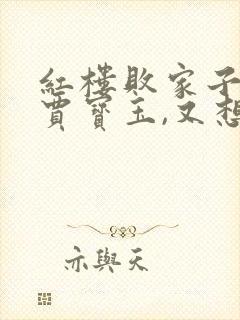 红楼败家子:我贾宝玉,又想纳妾了