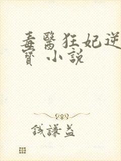 毒医狂妃逆天萌宝 小说