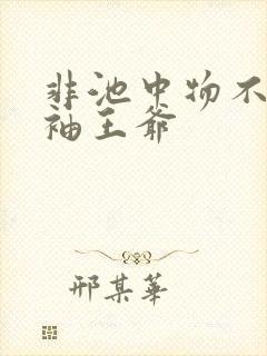 非池中物不嫁断袖王爷