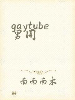 gaytube男同