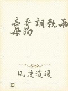 帝哥调教两个骚母狗