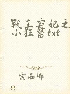 战王宠妃之倾世小狂医txt